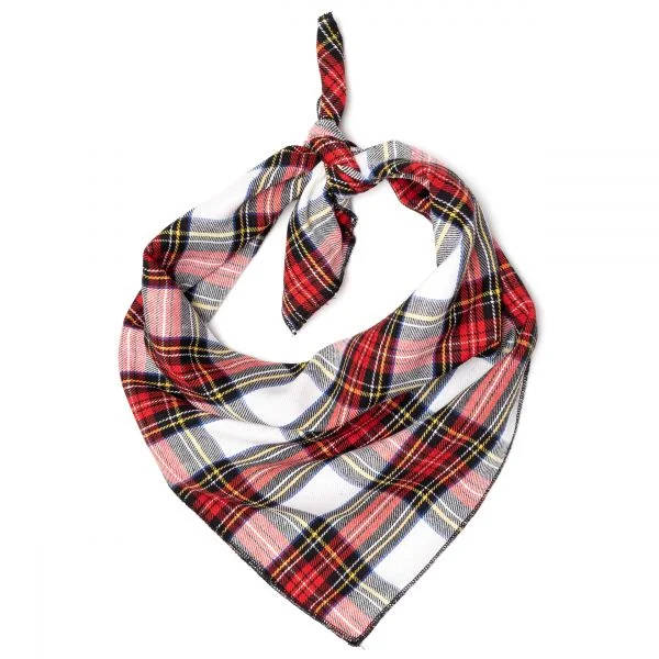 Stewart Tartan Red Dog Bandana