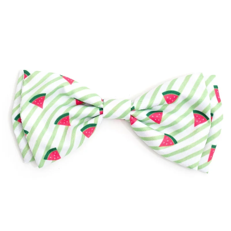 Stripe Watermelon Dog Bow Tie