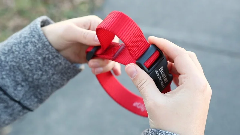 ADJESTTABLE DOG COLLAR