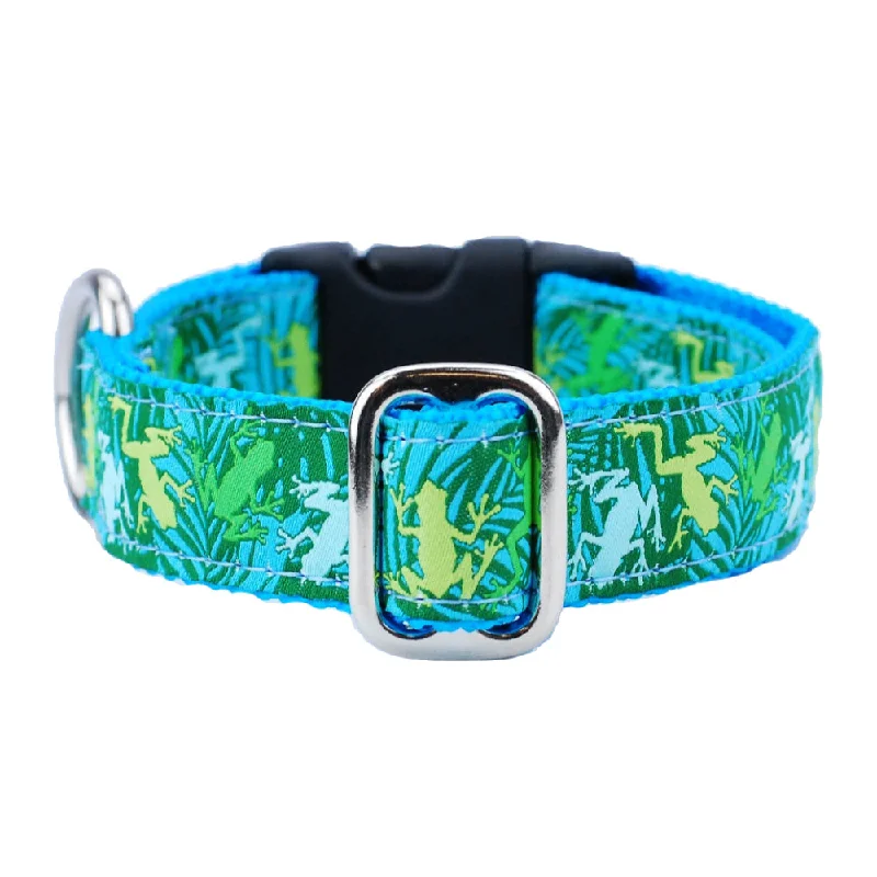 Coqui Surf 1" Essential Dog Collar