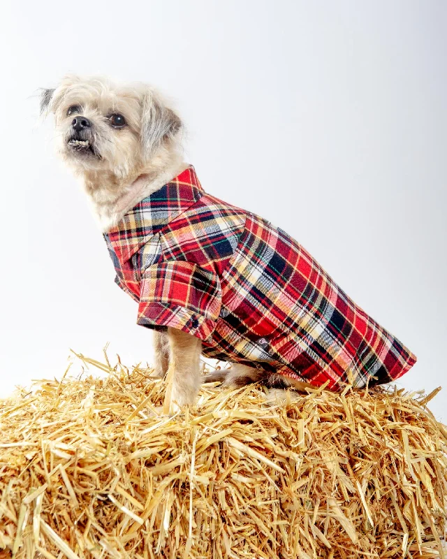 Flannel Plaid Button Down Shirt in Red (FINAL SALE)