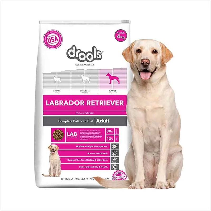 Drools Labrador Adult Premium Dog Food