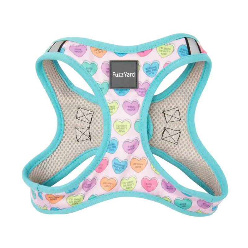 [15% OFF] Fuzzyard Candy Hearts Dog Step-in-Harness (5 Sizes)