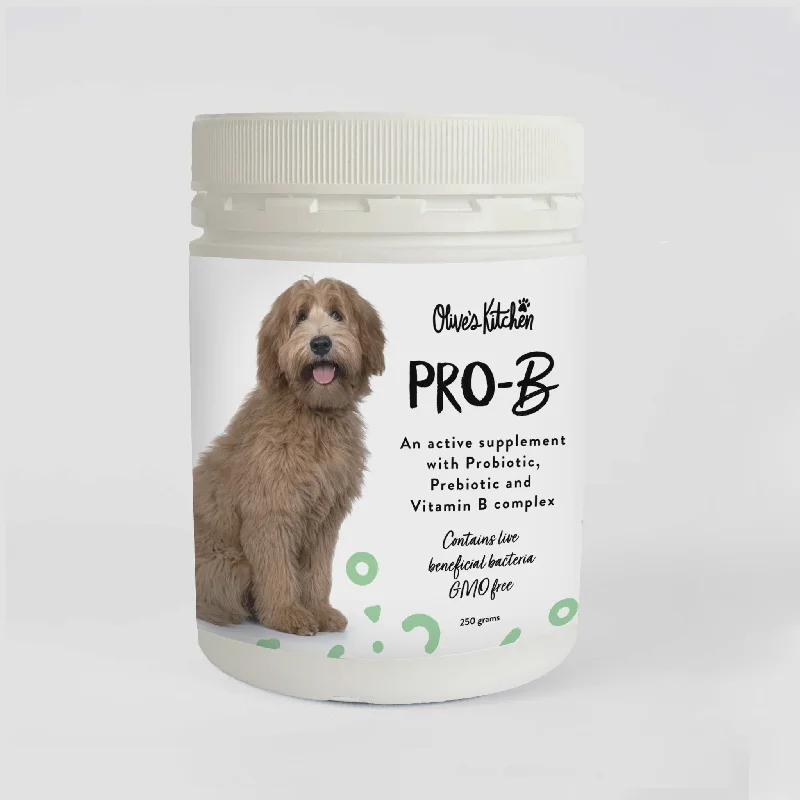 OLIVE'S KITCHEN Pro-B - 250g